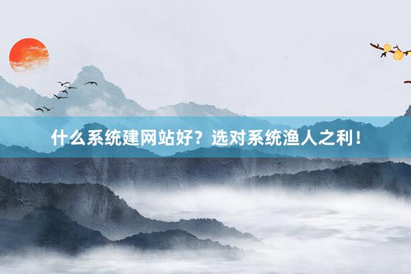 什么系统建网站好？选对系统渔人之利！